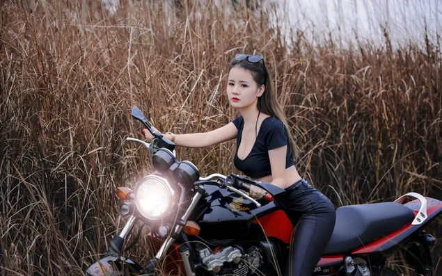 Rode en zwarte Honda-motorfiets met model
