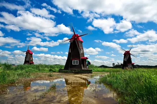 Rode en bruine houten windmolens in gras en water onder blauwe lucht met verspreide wolken