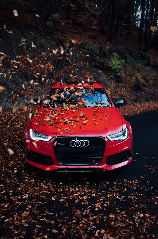 Coche Audi rojo con hojas secas sobre el capó