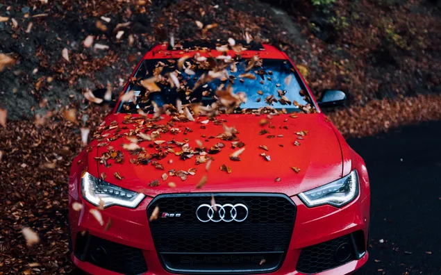 Audi merah unduhan