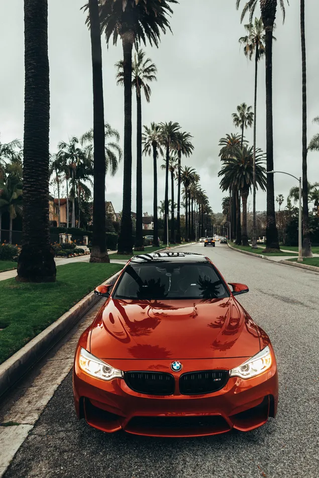 ماشین قرمز BMW پارک شده در جاده بارگیری کنید