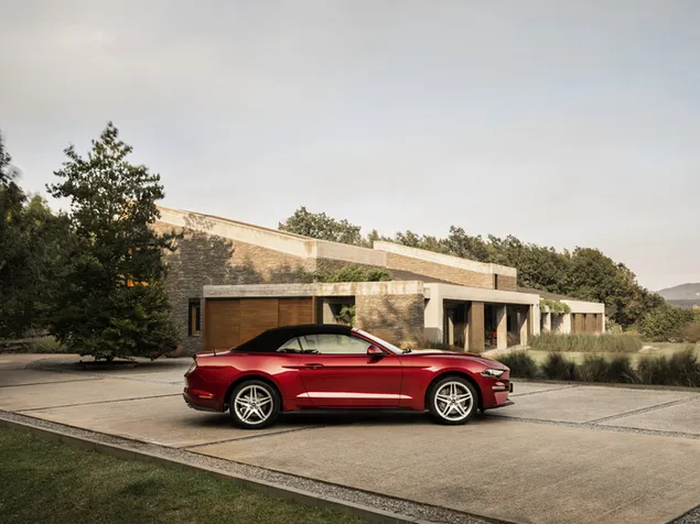 descarcare mustang rosu