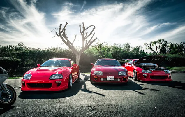 Rote Toyota Supra-Autos unter Bäumen in der Natur 4K Hintergrundbild