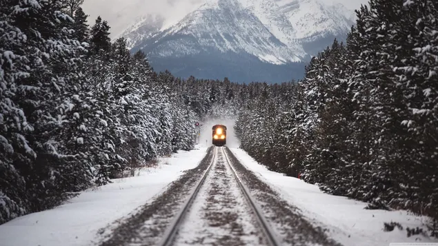 Rooi trein op die treinspoor wat deur sneeu heuwels en woud gaan aflaai