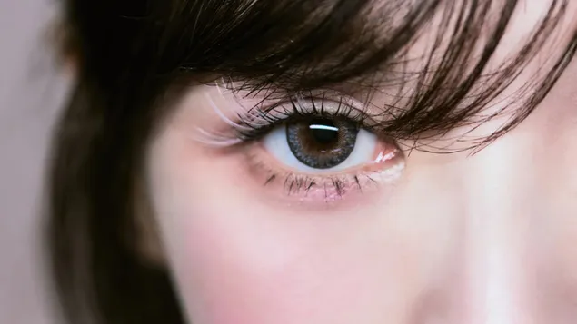 red velvet'in wendy (yakin cekim) | 'cosmic' albumu (gizemli otel ver.) cekimi indir