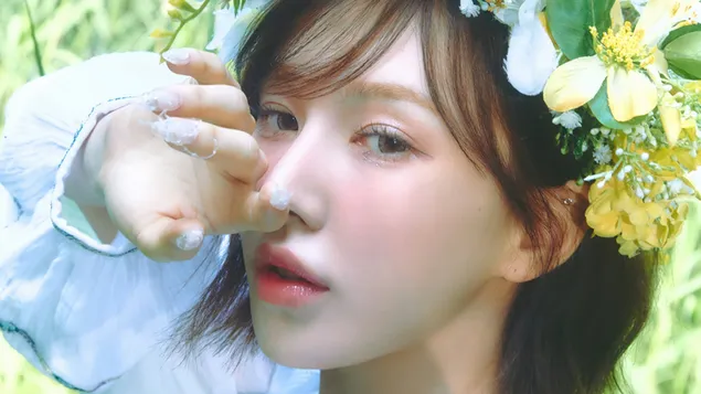 vvndy shl red velvet ltsylvmy lbvm 'qvsmy' (tyzr). hvrd