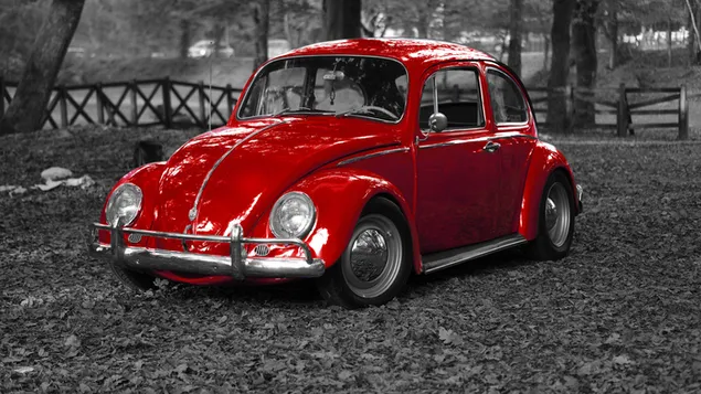 Rode volkswagen kever, vw, bug, vintage zwart-witte achtergrond download