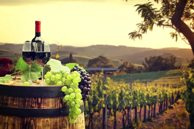 Jardín de vino tinto, barrica y uva descargar