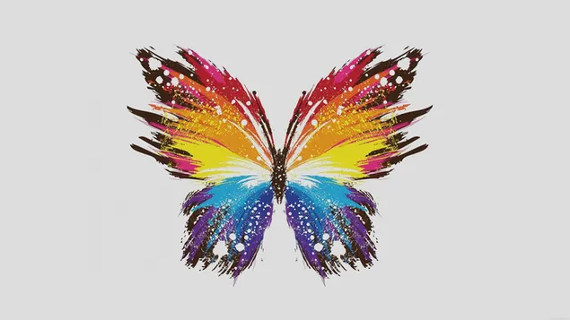 Red yellow orange  and blue butterfly digital wallpaper