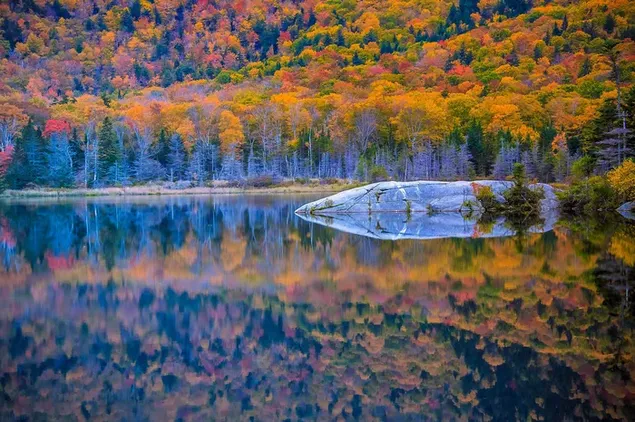 Reflexion von Waldbäumen, die mit Herbstfarben im Seewasser bedeckt sind