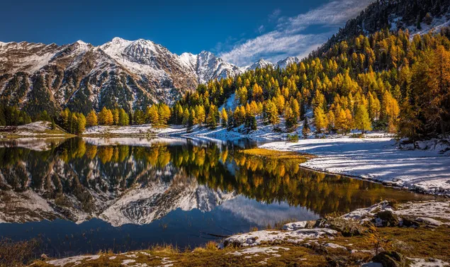 Reflection of snowy mountains and forests in the lake 2K wallpaper