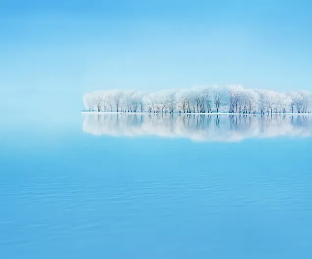 Reflexion von schneebedeckten Bäumen im Wasser, die im Freien faszinierend aussehen