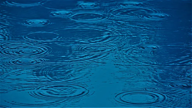 Regentropfen fallen auf das Wasser