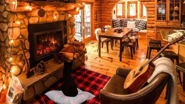 Relaxing Fireplace during winter download