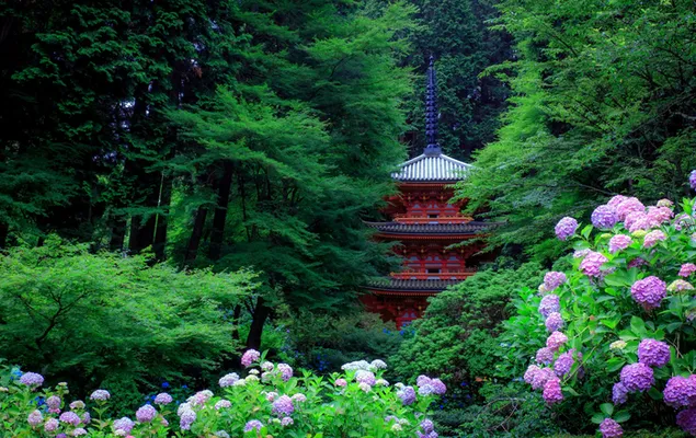 日本の春の森