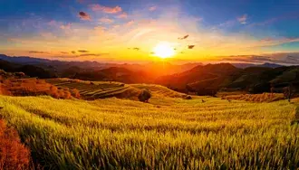 Campo de arroz con vista a las montañas 2K fondo de pantalla