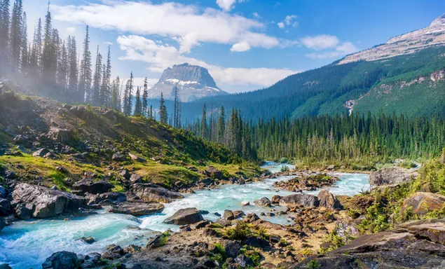 Río que fluye a través de montañas y bosques 4K fondo de pantalla