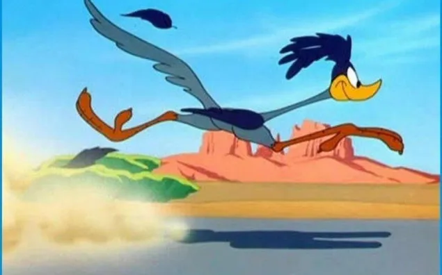 Road Runner personaje de dibujos animados pájaro corriendo descargar