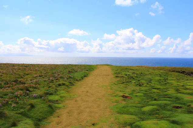 tee ookeanile allalaadimine