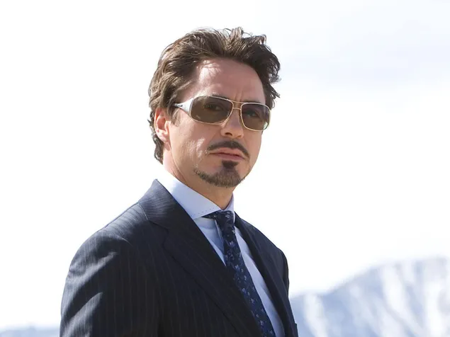 Robert Downey Jr. from the Iron Man debut movie