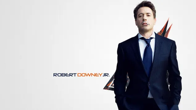 Robert Downey Jr 