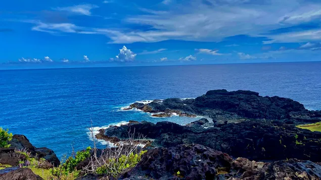 Skale v oceanu, modro nebo in modri ocean 4K ozadje