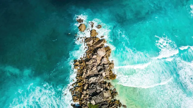 Rotsachtig Strand Zee Luchtfoto