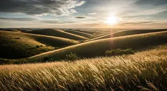 rolling grassy hills glow under the soft morning sun, with golden light streaming through tall wild grass and a peaceful sky above download