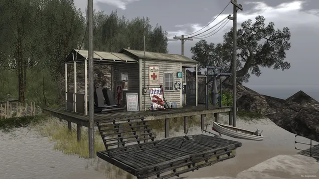 Rosa Scotia HD wallpaper