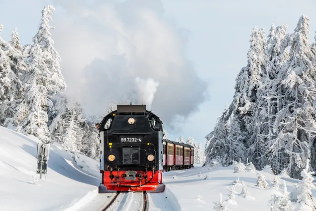 Roter und schwarzer Dampfzug, der sich entlang der Eisenbahn zwischen schneebedeckten Bäumen bewegt