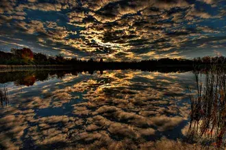 Row of trees and cloudy sky reflection in the lake HD wallpaper