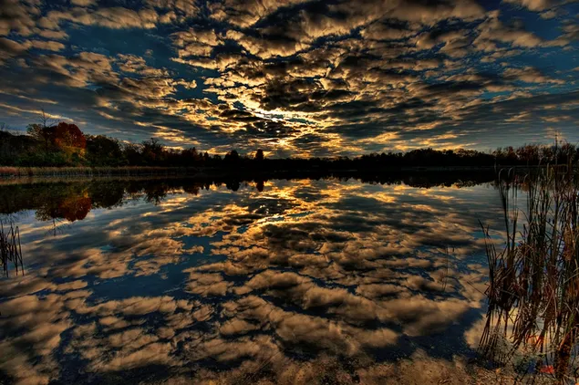 Reihe von Bäumen und Reflexion des bewölkten Himmels im See HD Hintergrundbild