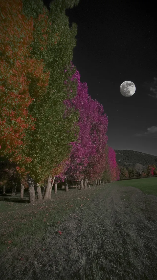 red drveca sa zivopisnim liscem pod vedrim nebom punog mjeseca preuzmi