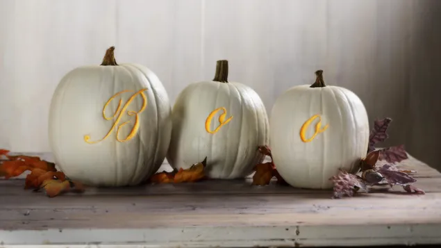 Dovleci regali HD imagine de fundal