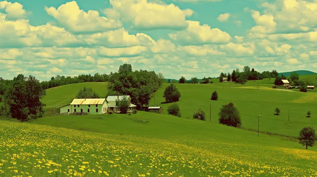 ฟาร์มชนบทอันแสนเรียบง่ายพร้อมดอกแดนดิไลออนใต้ท้องฟ้ากว้างใหญ่ 2K วอลเปเปอร์