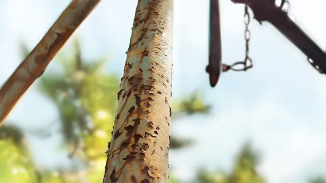 Rusty Pole 4K wallpaper