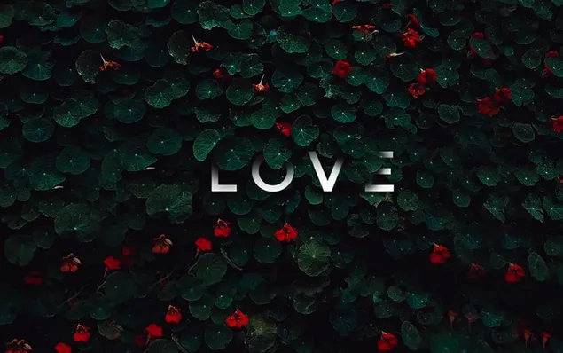 Droevige liefde | Beste bureaubladachtergrond