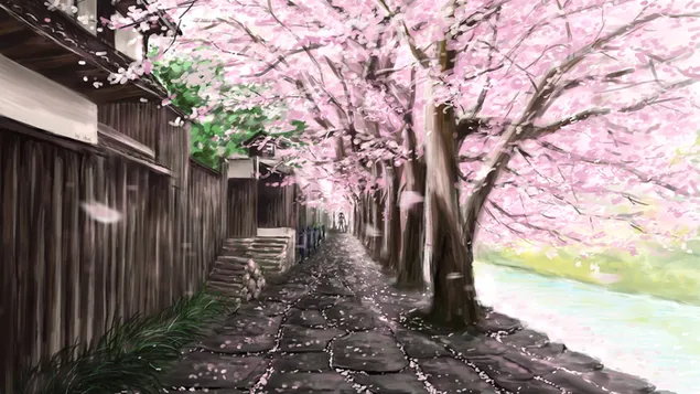 Sakura-Weg