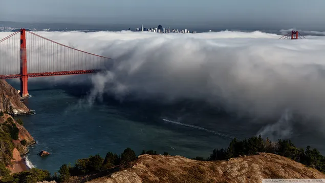 San francisco bridge in mist above the sea by the cliffs