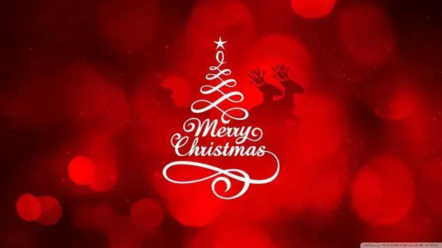 Taustpilt Jõuluvana vari kuuse taga HD