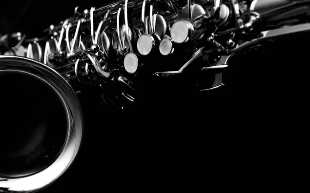 890842 4K saxophone Musical Instruments White background  Rare Gallery HD  Wallpapers
