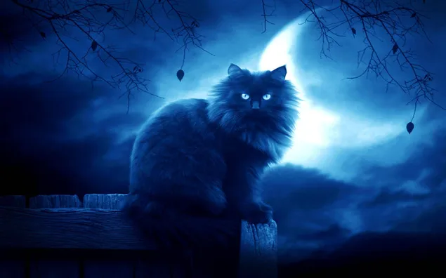 Scary Cat download