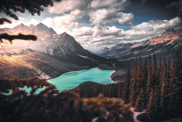 Szenisches Foto des Sees umgeben durch Bäume 2K Hintergrundbild