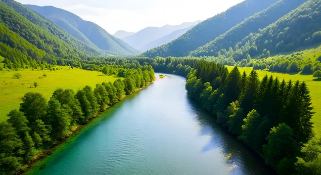 风景秀丽的河谷：茂密的森林和雄伟的山脉 4K 壁纸