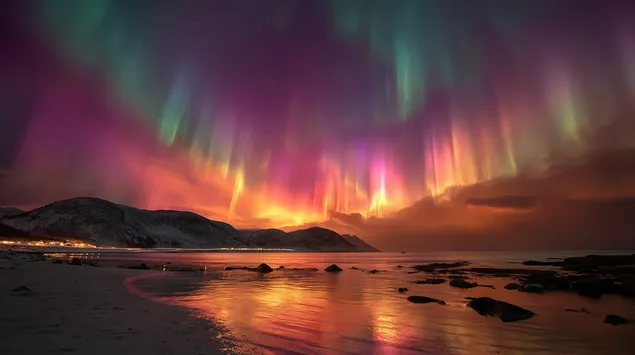 mal'ovnichiy siluet pivnichnogo syayva zavantazhiti