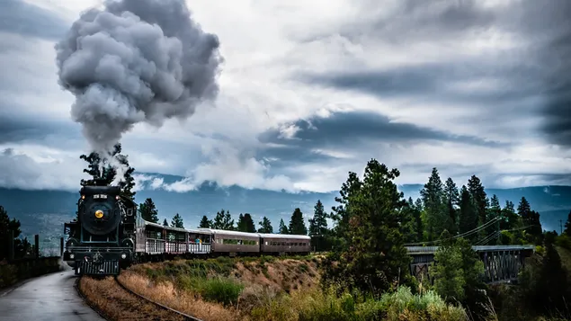 Naturskøn udsigt over et tog i bevægelse download