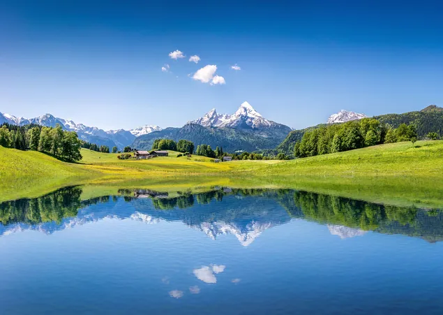 Scenic view of snowy mountain peak with trees and grass reflected in water 4K wallpaper