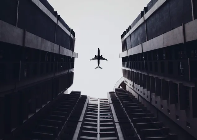 Schwarz-Weiß-Bild eines Flugzeugs, das über hohe Gebäude fliegt