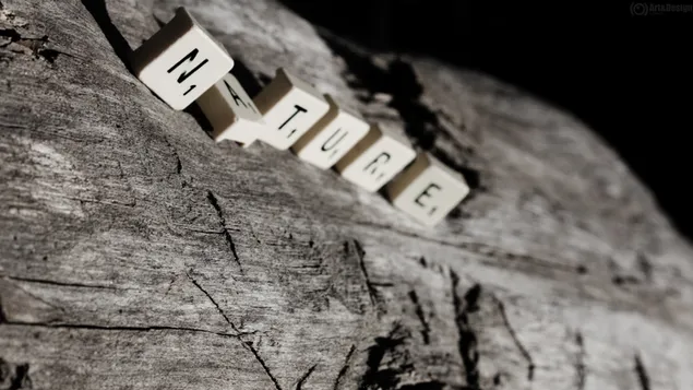 scrabble slowo gra pobierz