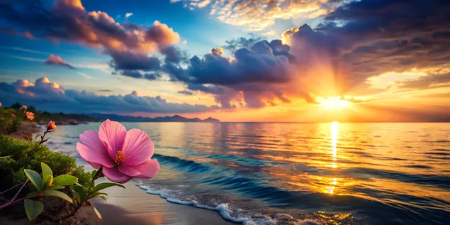 Buzë deti e stolisur me lule rozë nën një shkëlqim magjik të perëndimit të diellit 4K sfond